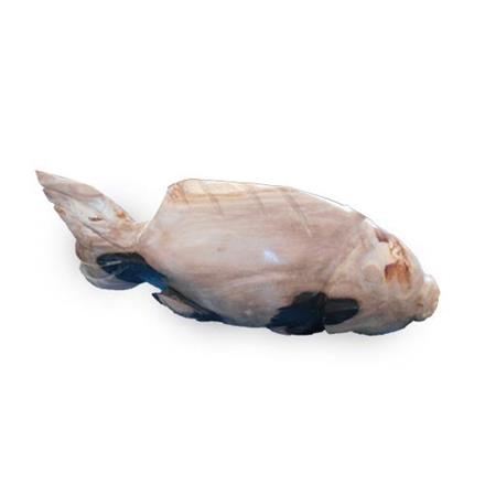 Balishine: Your natural source of indonesian handicraft presents in its Home Decor collection the Petrified Wood Fish Statue:12DF38626:This fish statue is made from petrified wood.  