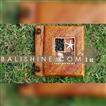 balishine This photo album is produced in Bali made from exotic leaf with shell and seed.